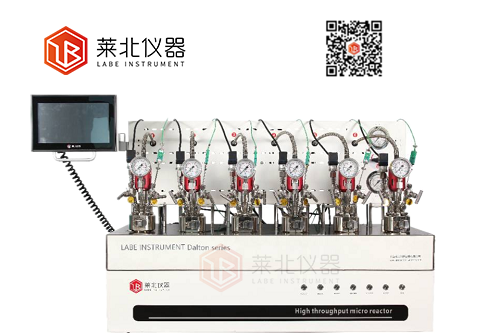Dalton 6機械攪拌平行反應(yīng)釜